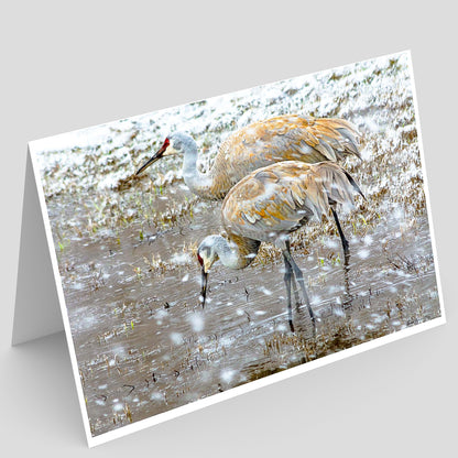 Full photo greeting card of Two sandhill cranes standing in an illinois  wetland with snowflakes falling.