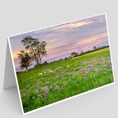 Pellsville Cemetery Prairie NP Greeting Card IMG_5906