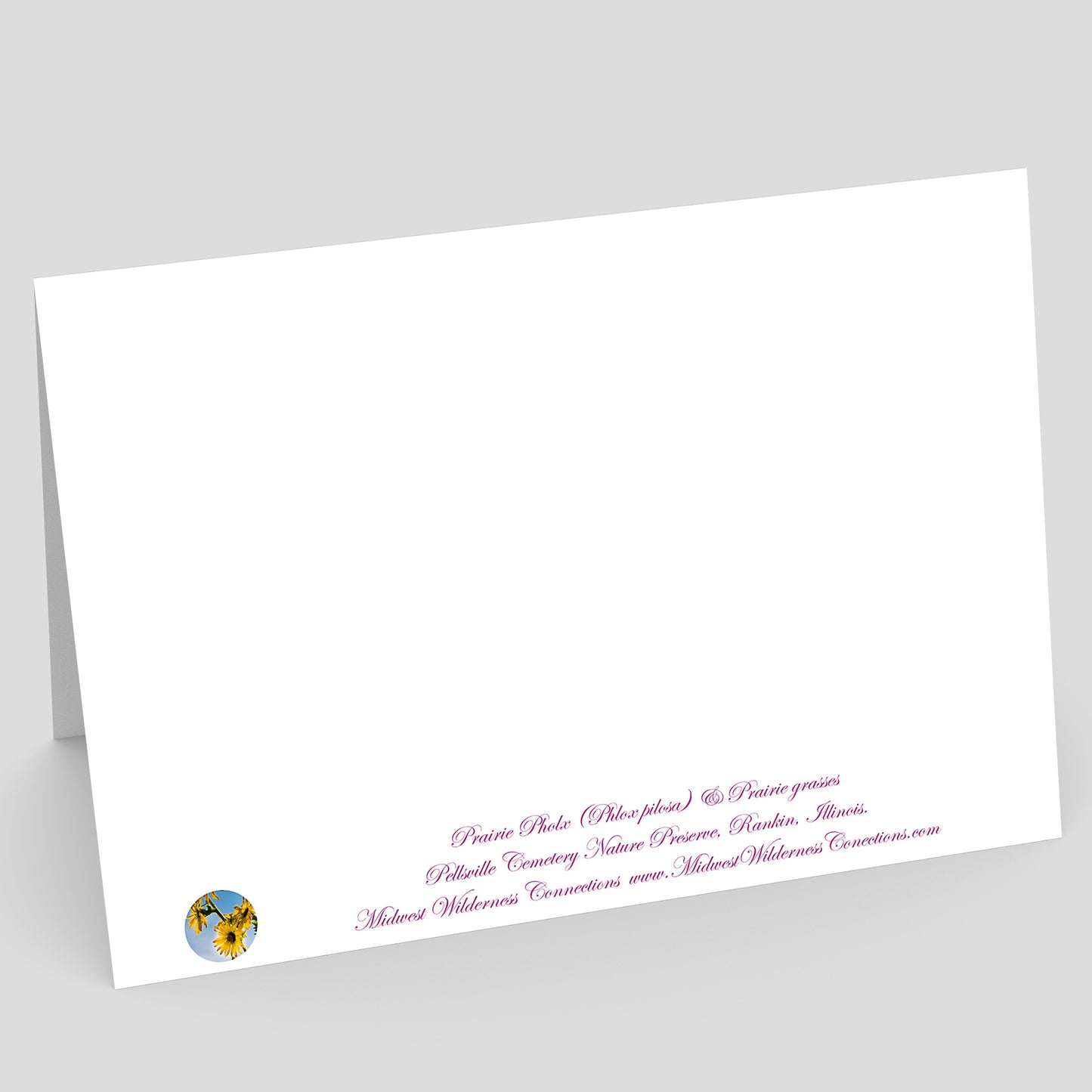 View of the backside of a White card with purple text and a small logo on a gray background. The text along the bottom edge describes what the picture on the front of the card and where it was taken.