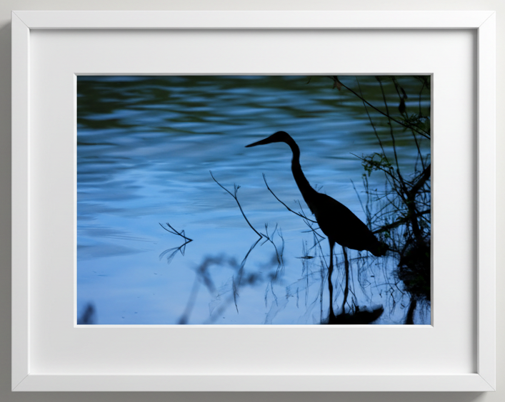 Framed artwork of a heron silhouette against a blue water background of the Mississippi River 