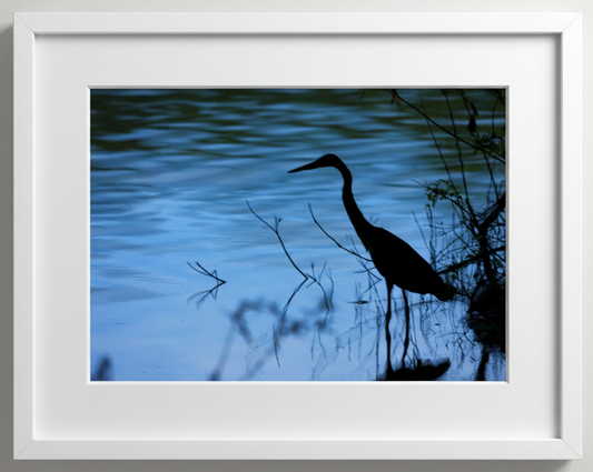 Framed artwork of a heron silhouette against a blue water background of the Mississippi River 