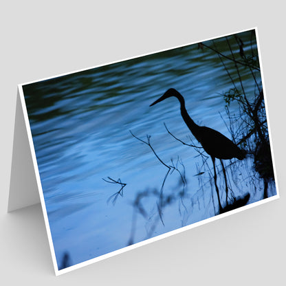 Carte de vœux du parc de l'île de Crédit IMG_7482 