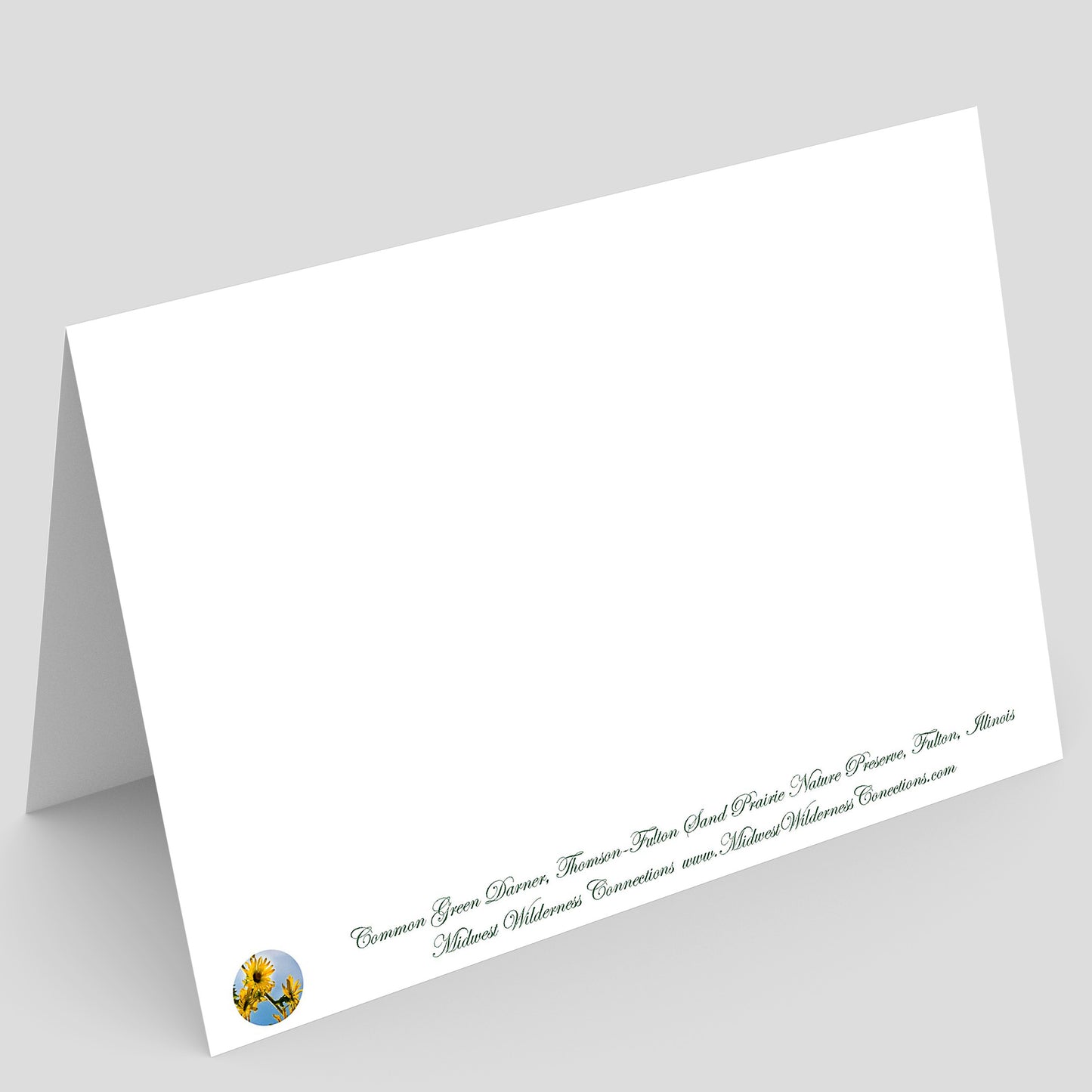 Backside view of a White greeting card with text and logo on a gray background. After the midwest wilderness connections logo, the text describes the scene on the front of the card and where the picture was taken