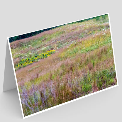 Carte de vœux du parc national de Thomson-Fulton Sand Prairie IMG_7523