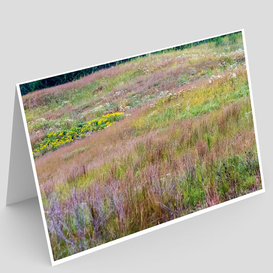 Thomson-Fulton Sand Prairie NP Greeting Card IMG_7523