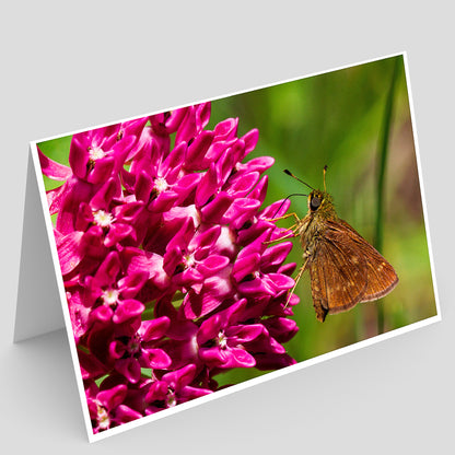 Stephens State Forest Greeting Card IMG_7679