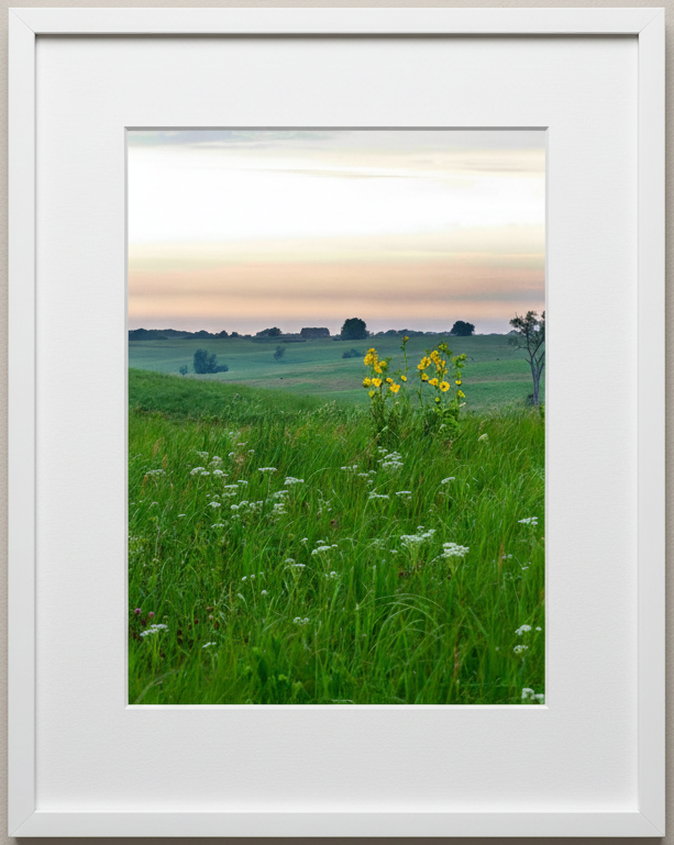 Framed photograph of a prairie with wildflowers and under a pink sky.