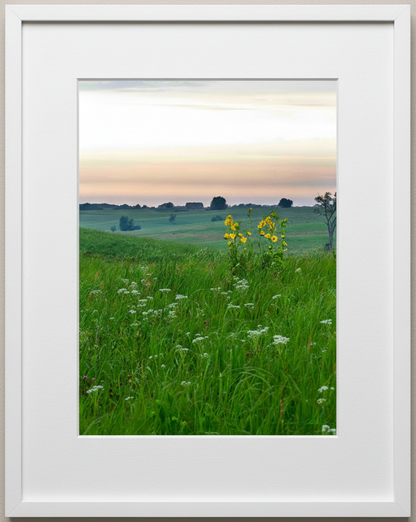 Framed photograph of a prairie with wildflowers and under a pink sky.