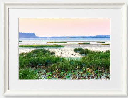 Framed artwork of a landscape with greenery and water of the Mississippi River, framed in white.