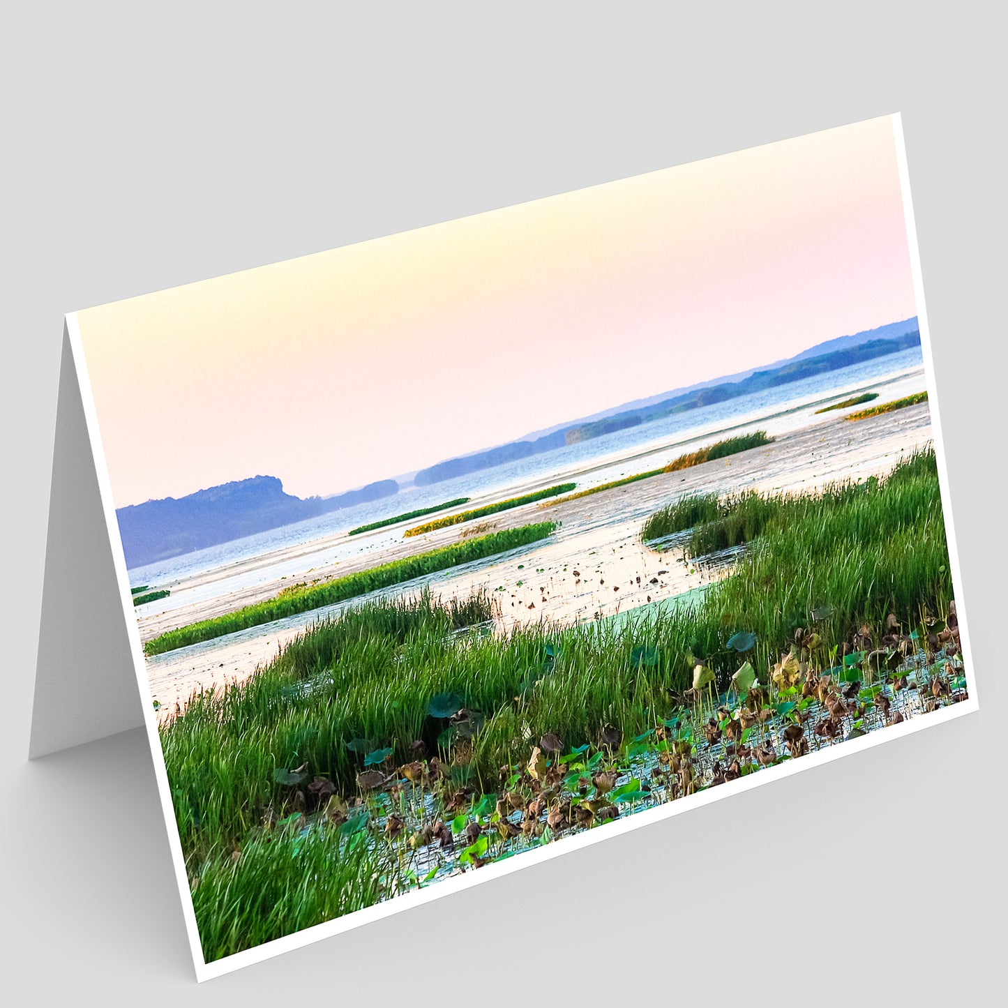Greeting card with a scenic landscape of sunset over wetland plants on the mississippi river in illinois on a gray background