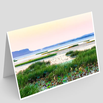 Greeting card with a scenic landscape of sunset over wetland plants on the mississippi river in illinois on a gray background