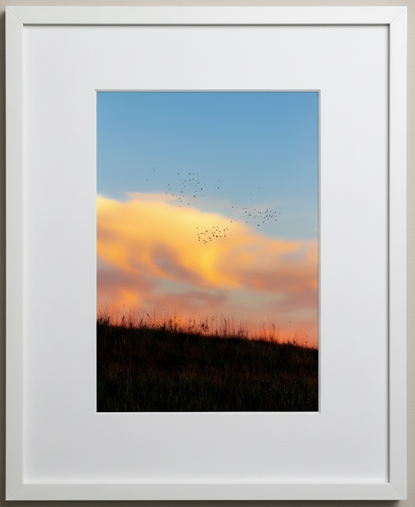 Framed artwork of a sunset with birds flying over a prairie field in iowa