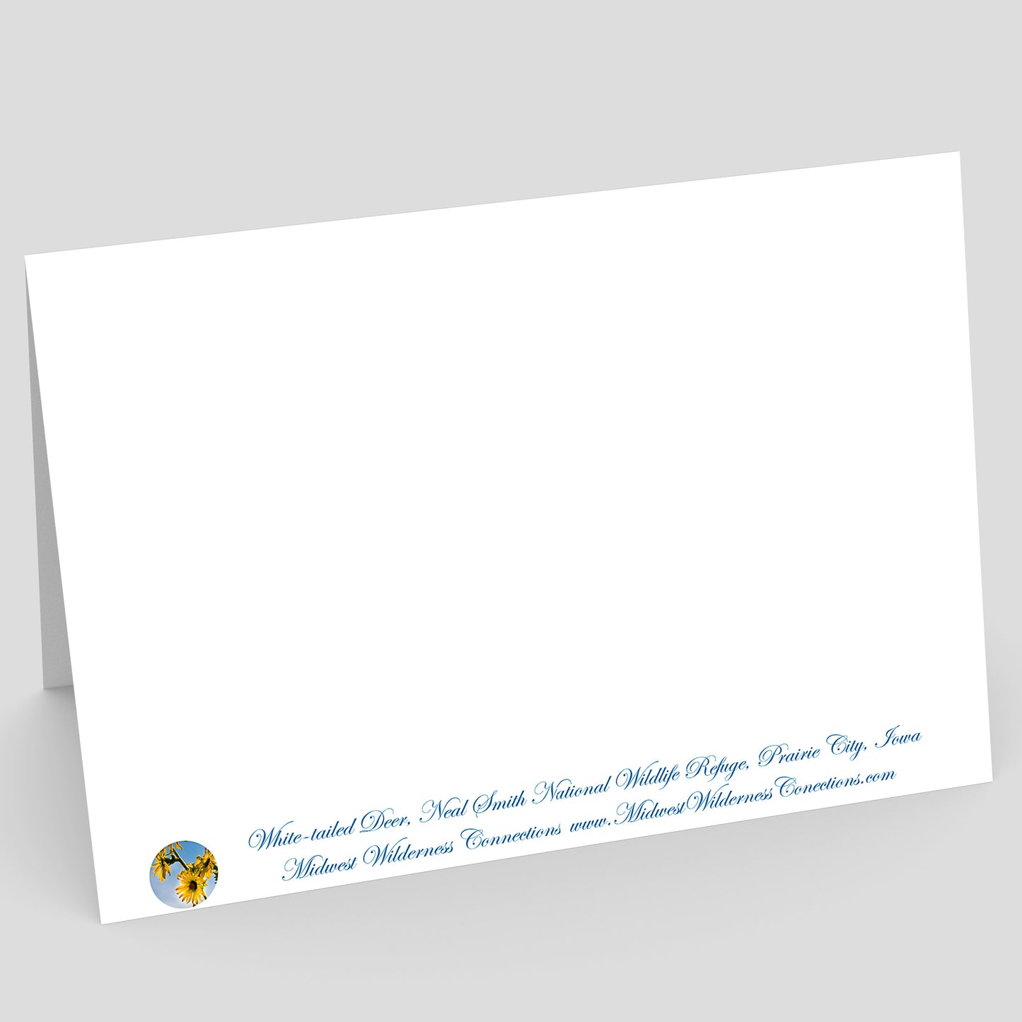 view of the back side of a White card with blue text and a logo on a gray background. the text along the bottom edge describes the photo on the front of the card and where the photo was taken