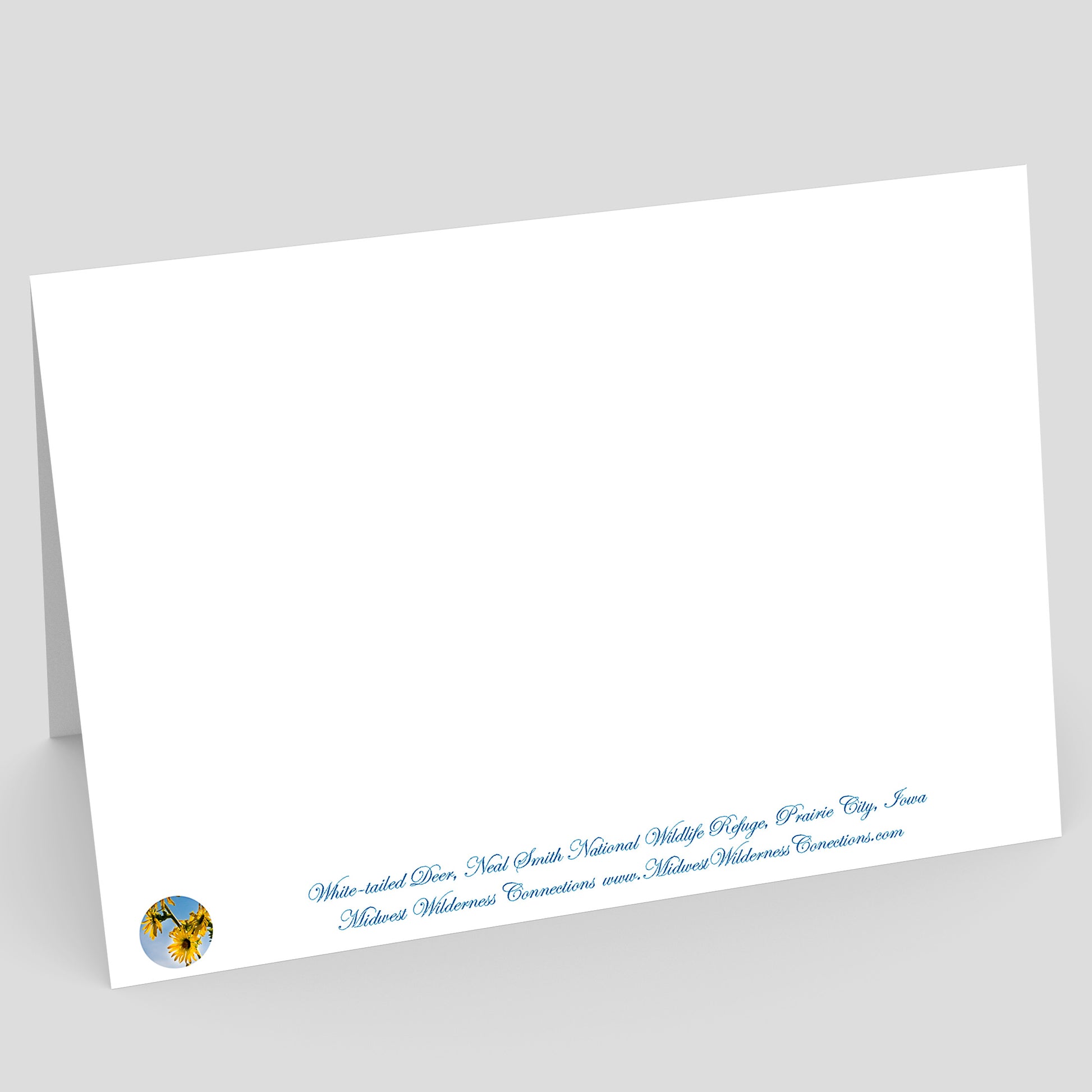 view of the back side of a White card with blue text and a logo on a gray background. the text along the bottom edge describes the photo on the front of the card and where the photo was taken
