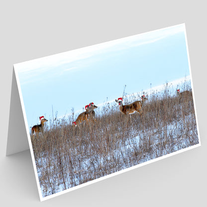 Full photo print of white tailed deer in santa hats and one with a red rudolph nose. The deer are standing in a snowy prairie field in iowa under a pale blue sky