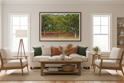 Framed photo print of a fall oak savanna scene hanging in a living room setting 