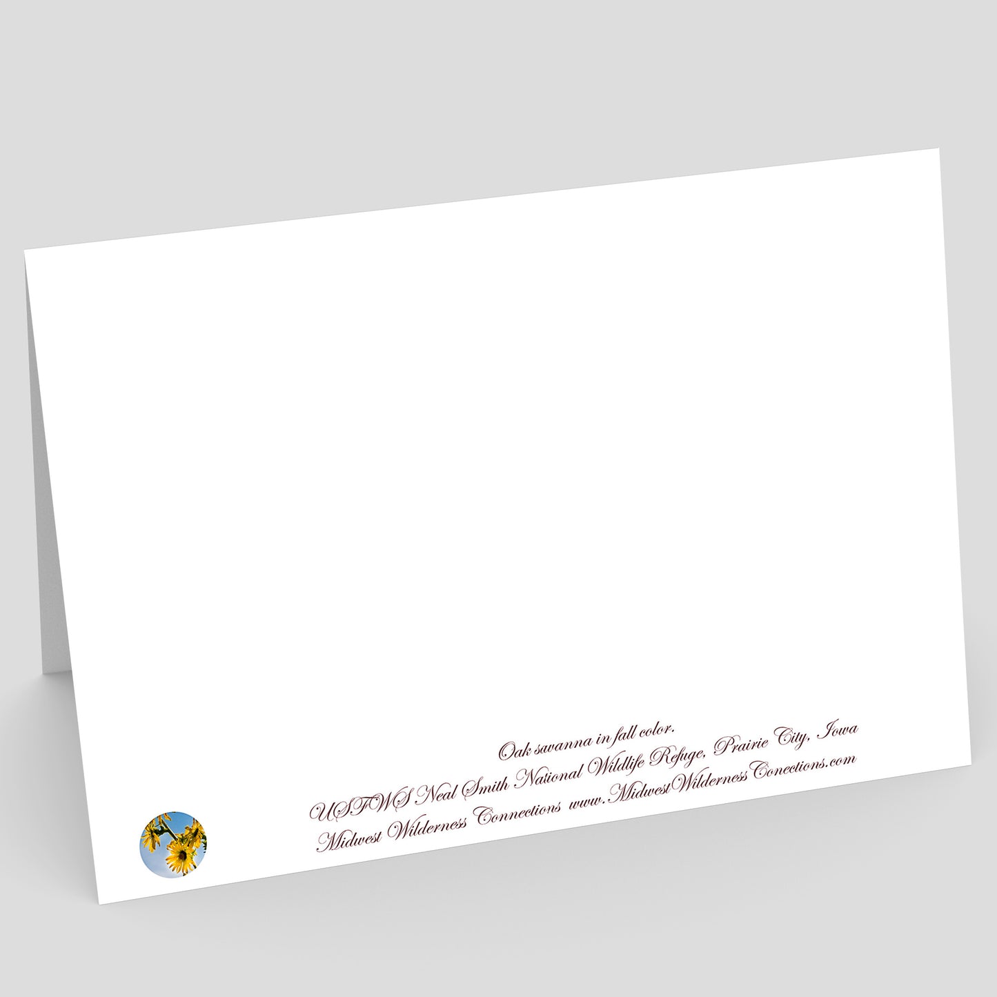 Back side view of a White card with printed text on a gray background. The text along the bottom edge describes the photo on the front of the card and where it was taken