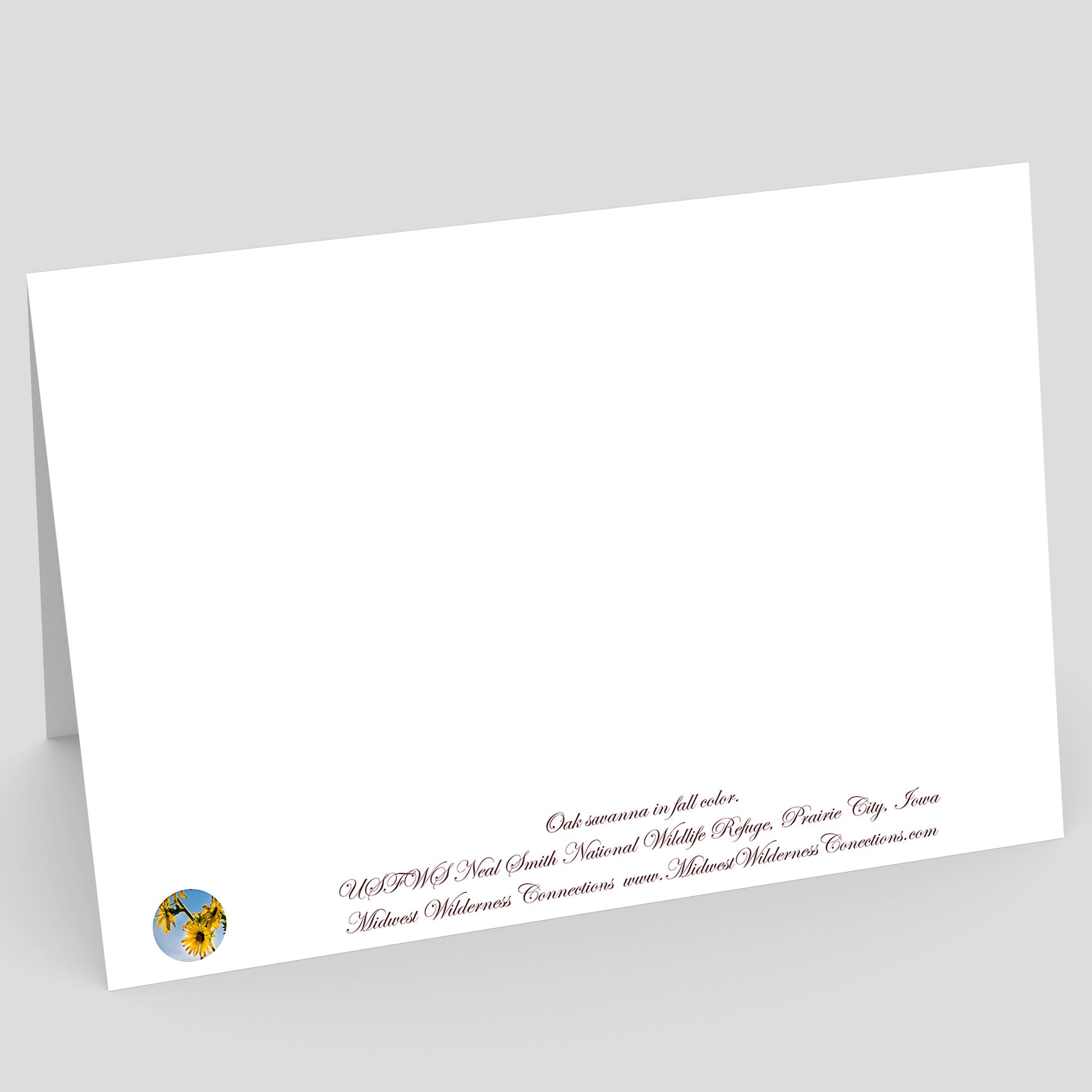 Back side view of a White card with printed text on a gray background. The text along the bottom edge describes the photo on the front of the card and where it was taken