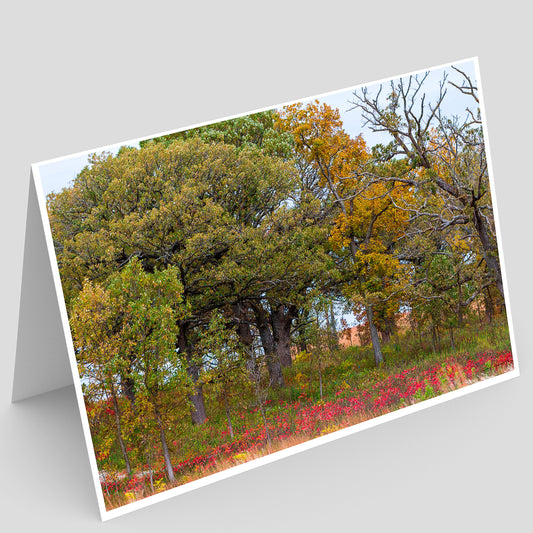 Neal Smith NWR Greeting Card IMG_8756