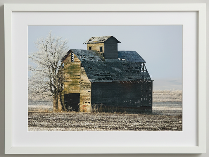 Framed photograph of an old, weathered barn in an iowa farm field with a white frame.
