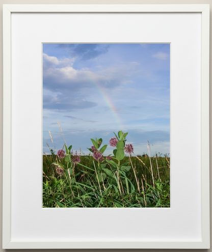 Framed photograph of a rainbow over a field with milkweed flowers and tall grass.