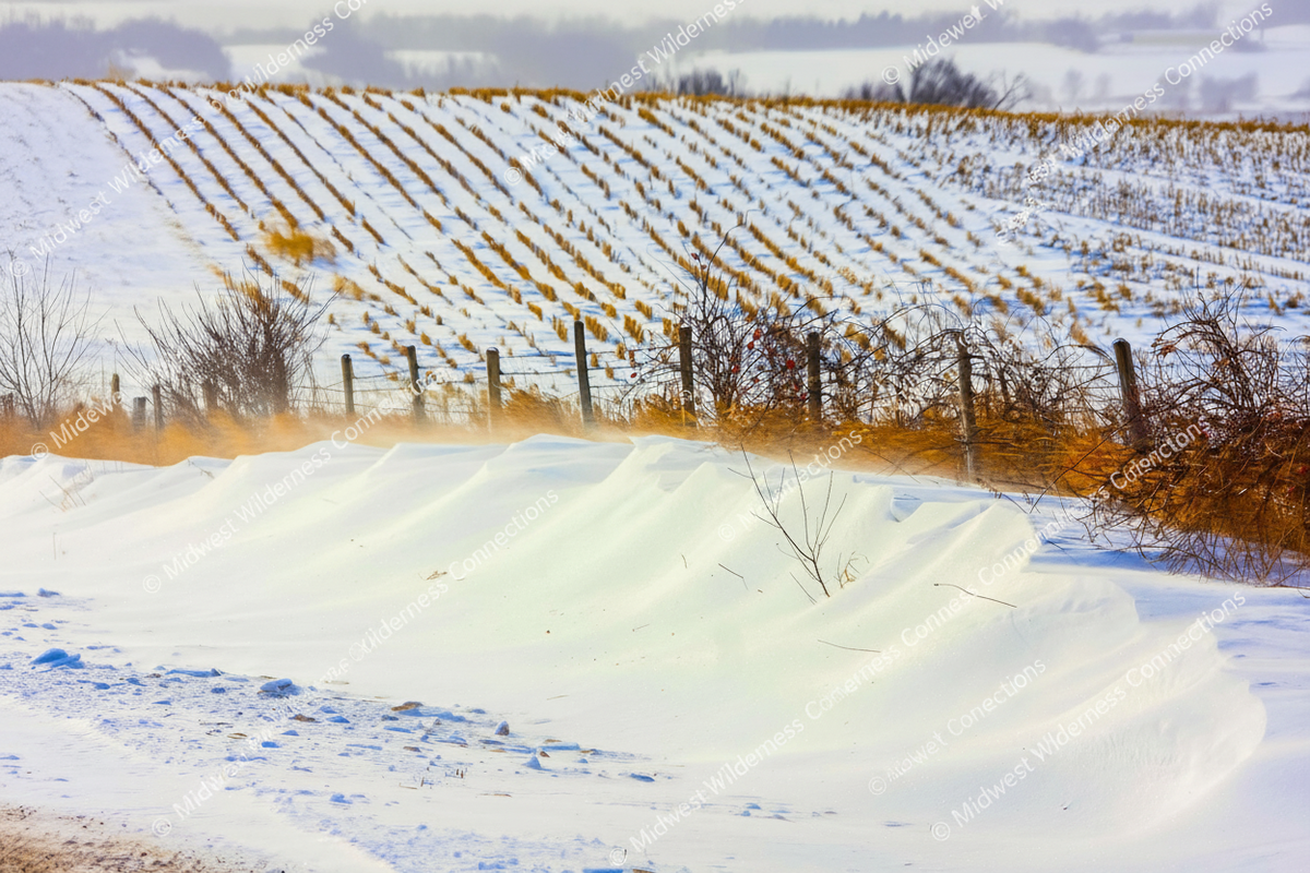 Watermarked preview of a snowy rural landscape in Mingo, Iowa