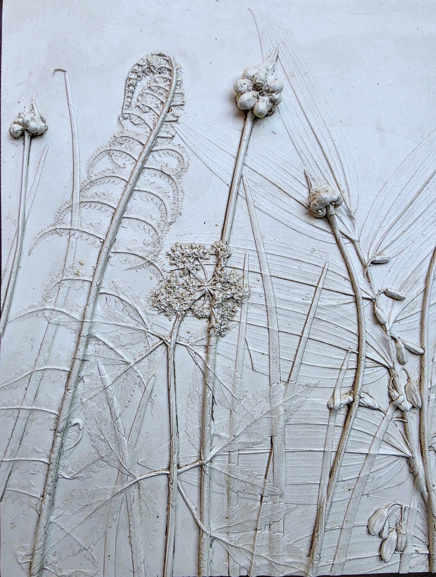 Wild Columbine, Solomon's Seal & Ostrich Fern Bas Relief – Framed Natural Plaster