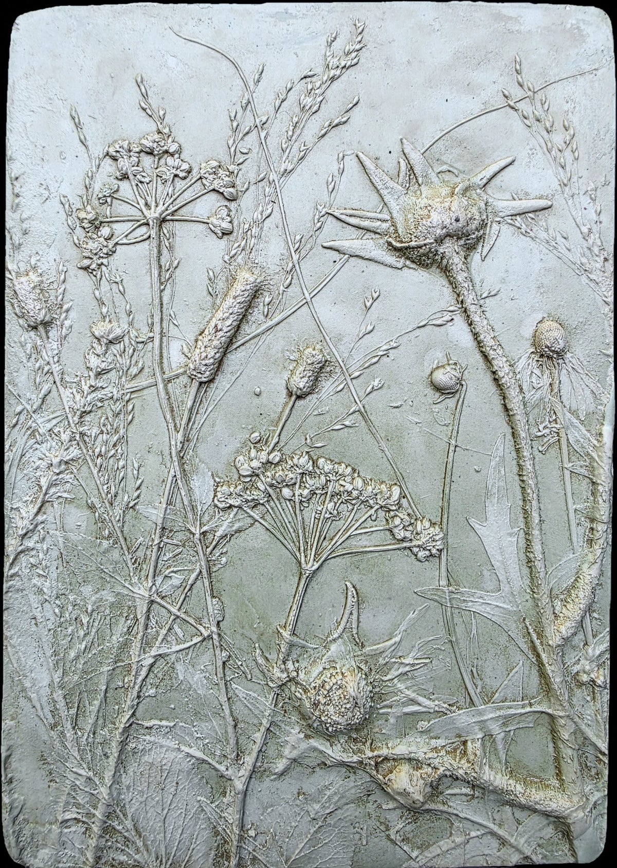 Compassplant, Golden Alexander & Gray-headed Coneflower Bas Relief – Green-tinted Plaster