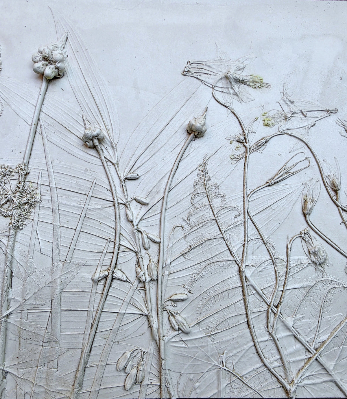 Wild Columbine, Solomon's Seal & Ostrich Fern Bas Relief – Framed Natural Plaster