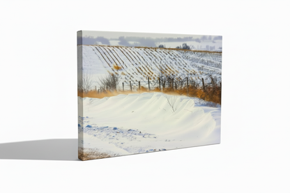 Mingo Iowa winter landscape shown as a gallery-wrapped canvas on a white background