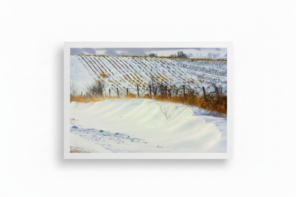 Mingo Iowa winter landscape shown as an archival paper print on a white background