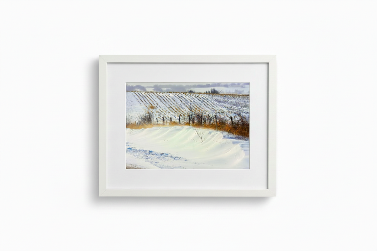 Mingo Iowa winter landscape displayed in a tightly cropped white gallery frame on a white background