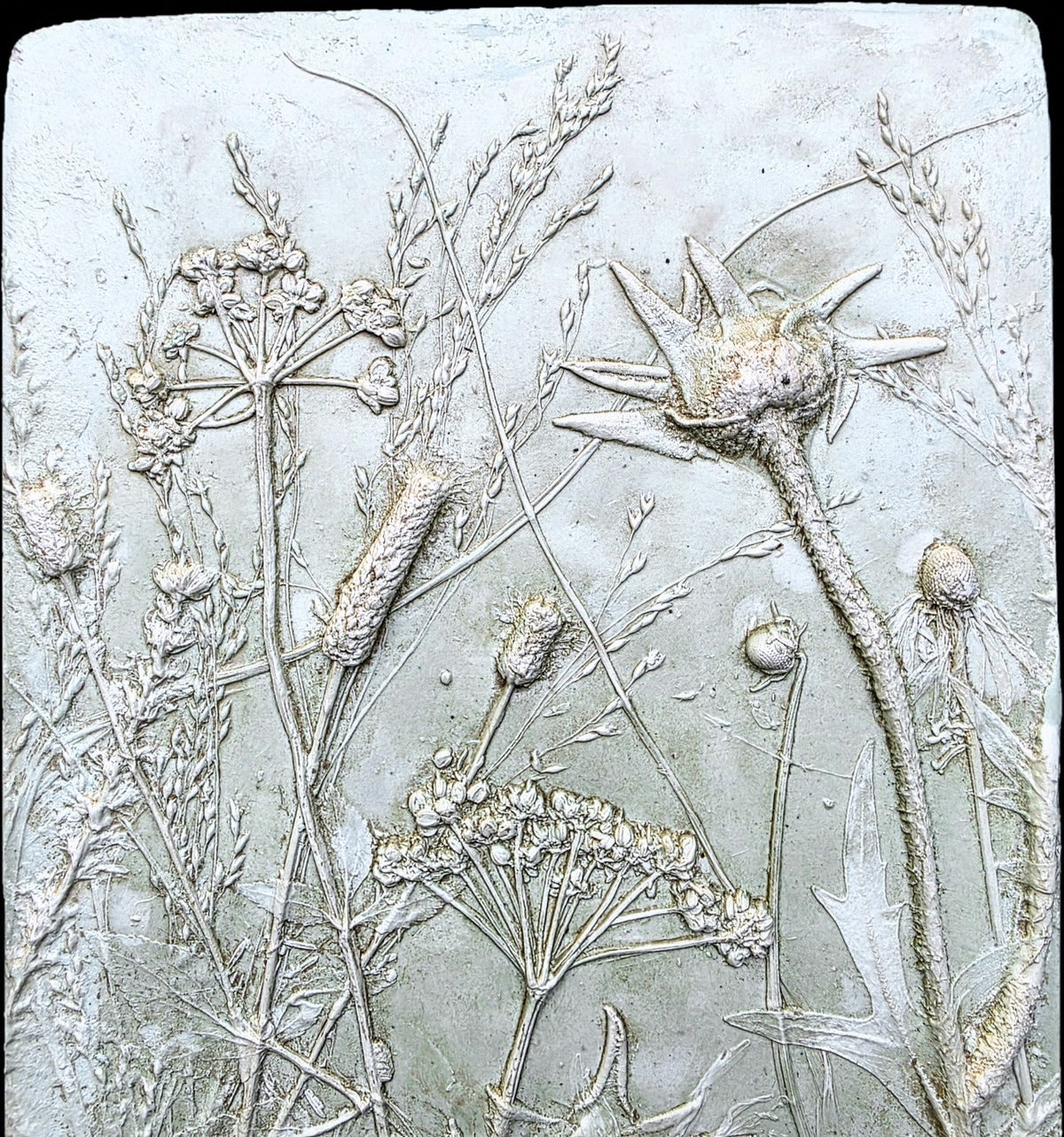 Compassplant, Golden Alexander & Gray-headed Coneflower Bas Relief – Green-tinted Plaster