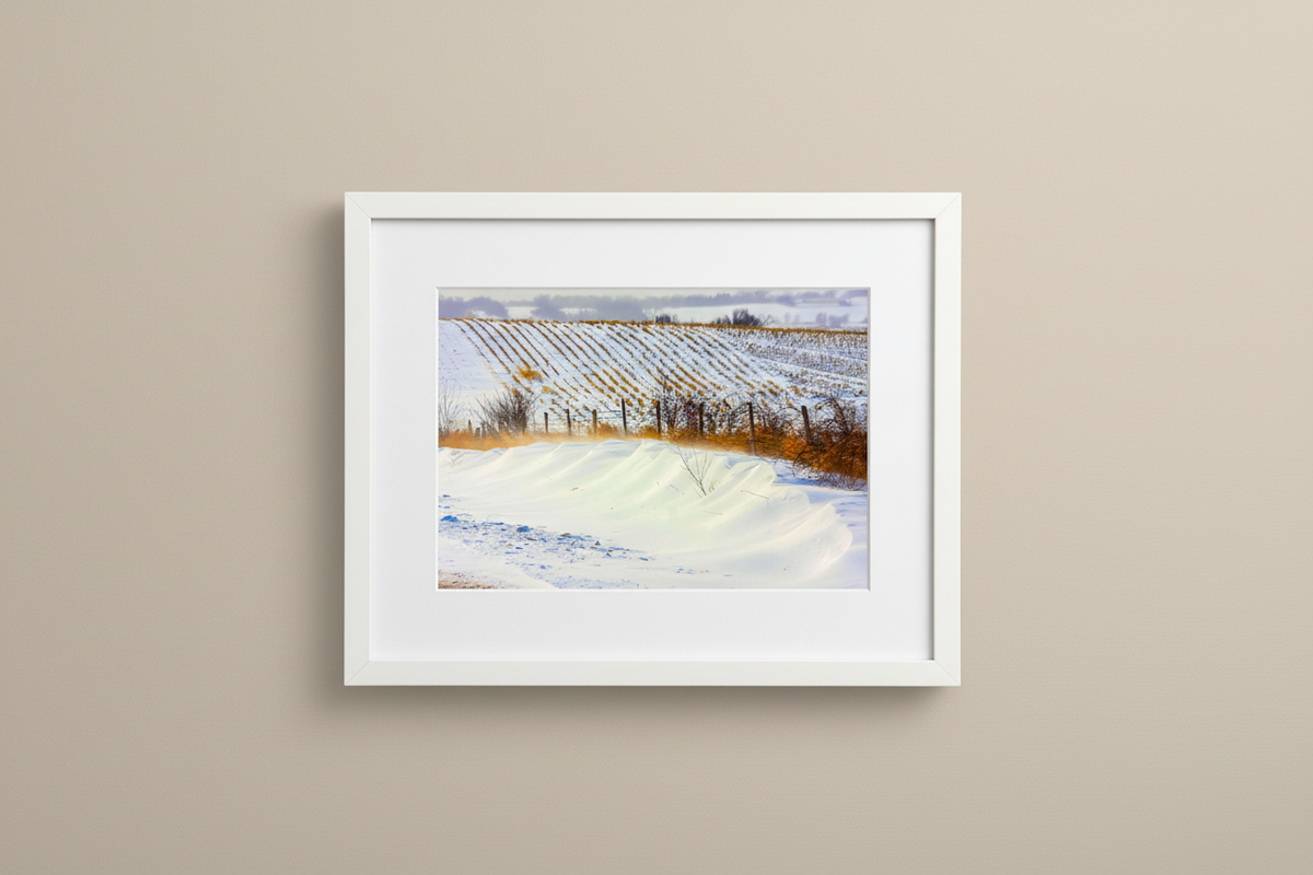 Mingo Iowa winter landscape displayed in a clean white gallery frame