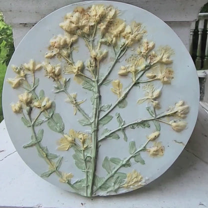 Plaster Botanical Bas Relief Artwork