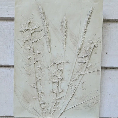 Bas-relief botanique en plâtre