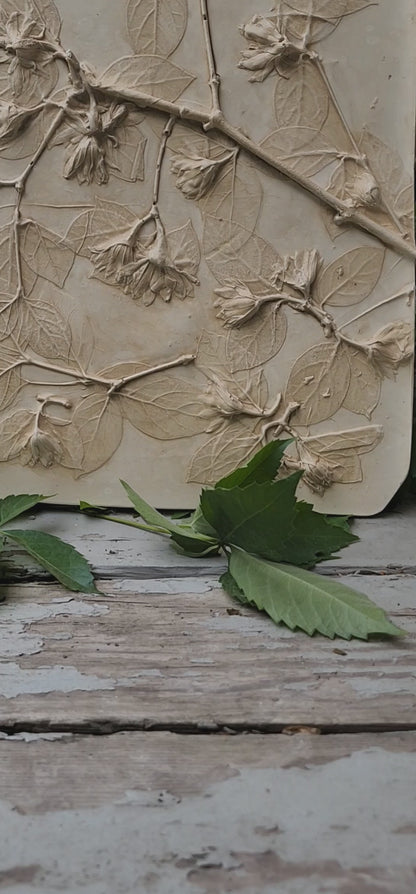 Plaster Botanical Bas Relief Artwork