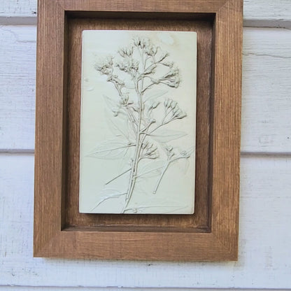 Plaster Botanical Bas Relief Artwork