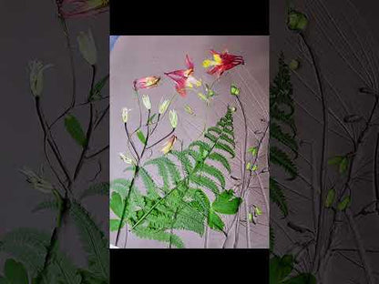 Wild Columbine, Solomon's Seal & Ostrich Fern Bas Relief – Framed Natural Plaster