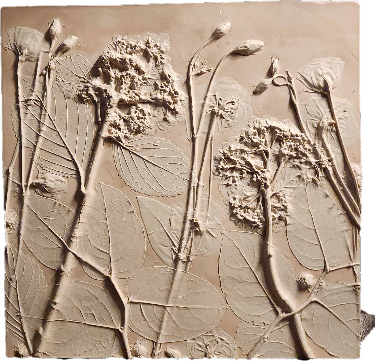 Plaster Botanical Bas Relief Artwork - Hydrangea Light