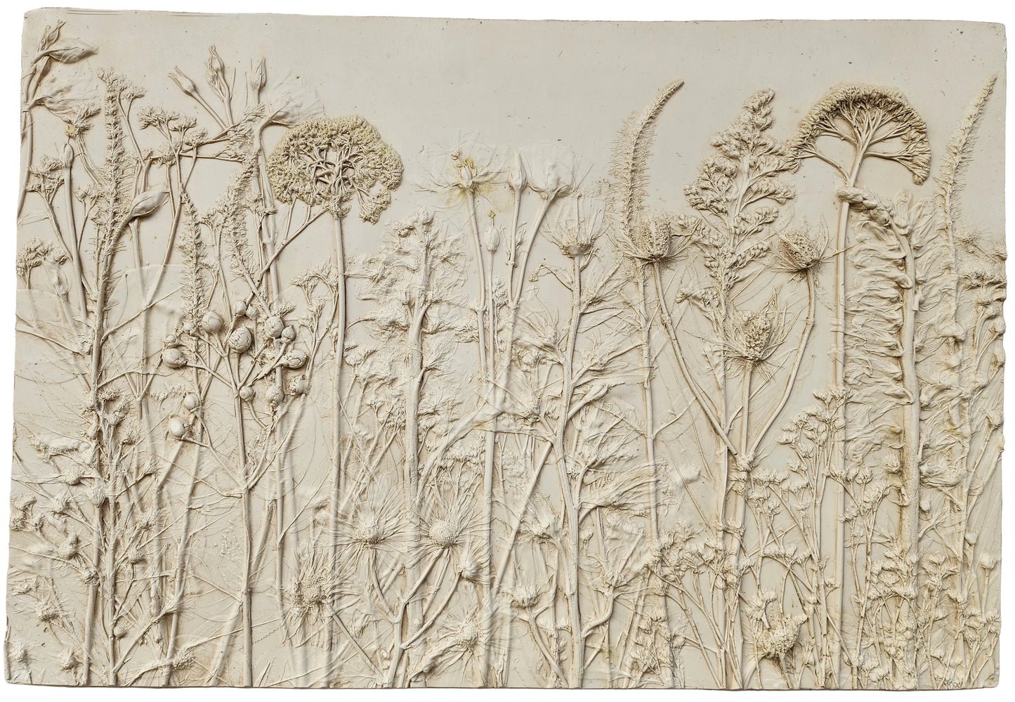 Plaster Botanical Bas Relief Artwork