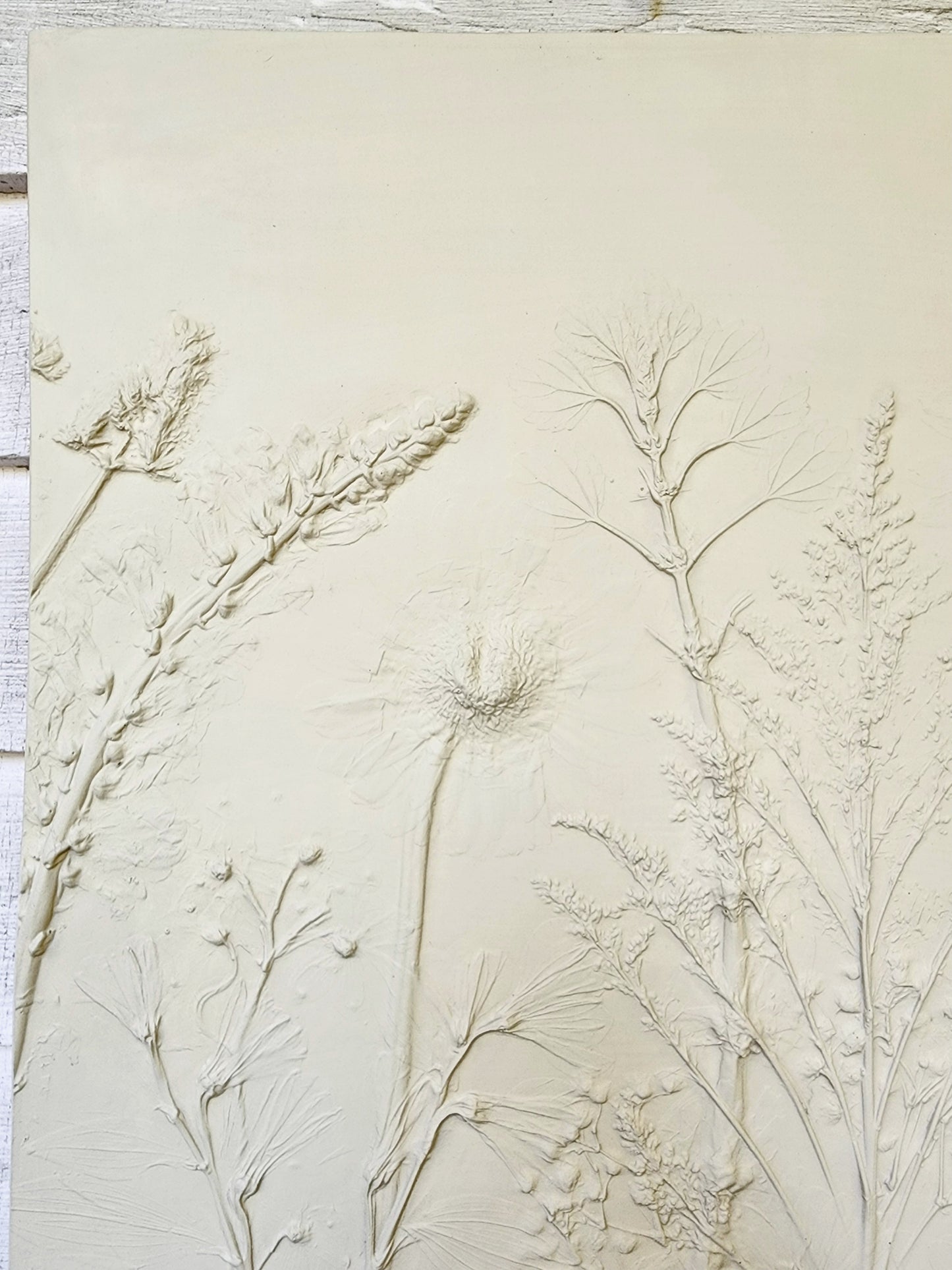 Plaster Botanical Bas Relief Artwork