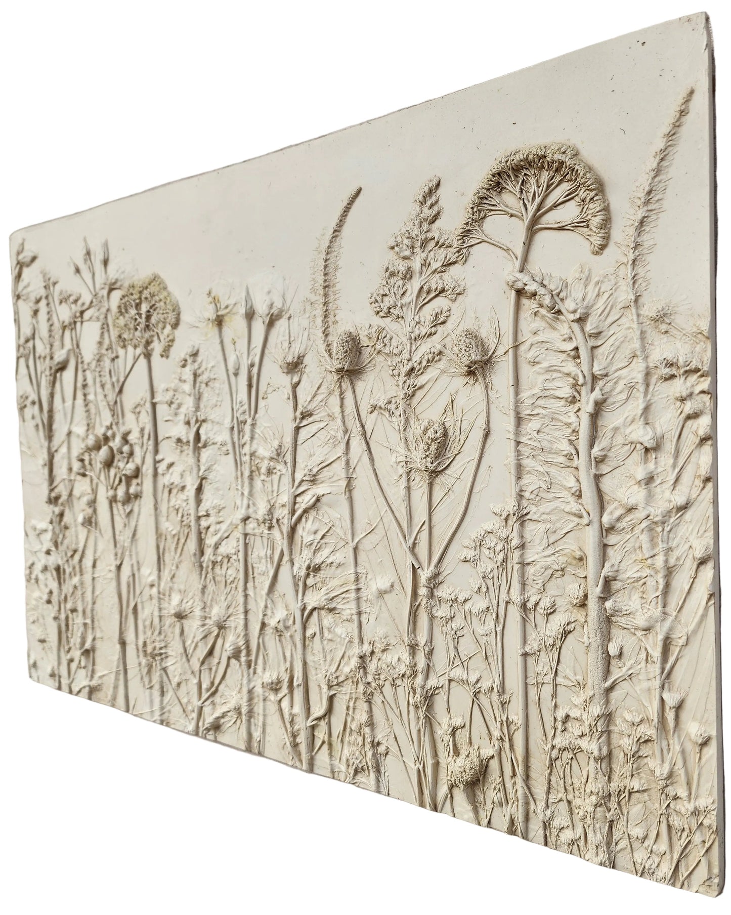 Plaster Botanical Bas Relief Artwork
