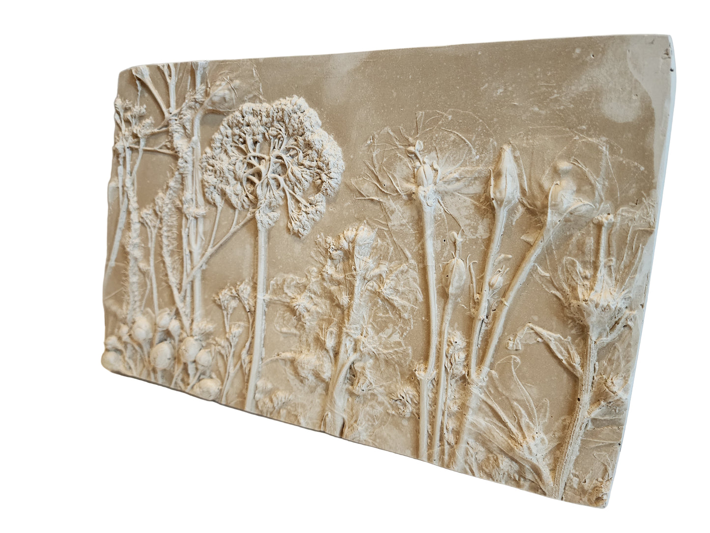 Plaster Botanical Bas Relief Artwork