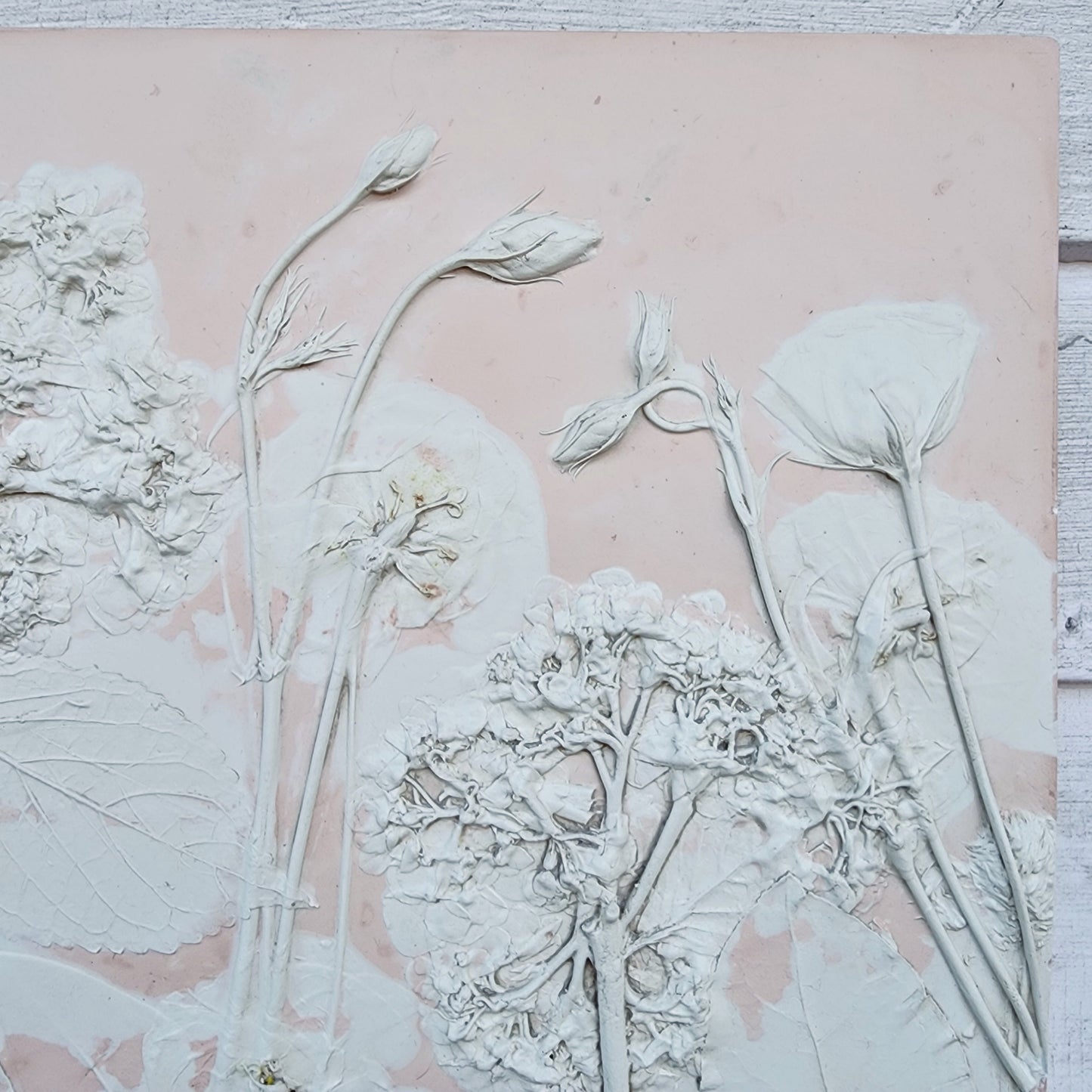 Plaster Botanical Bas Relief Artwork - Hydrangea Dark