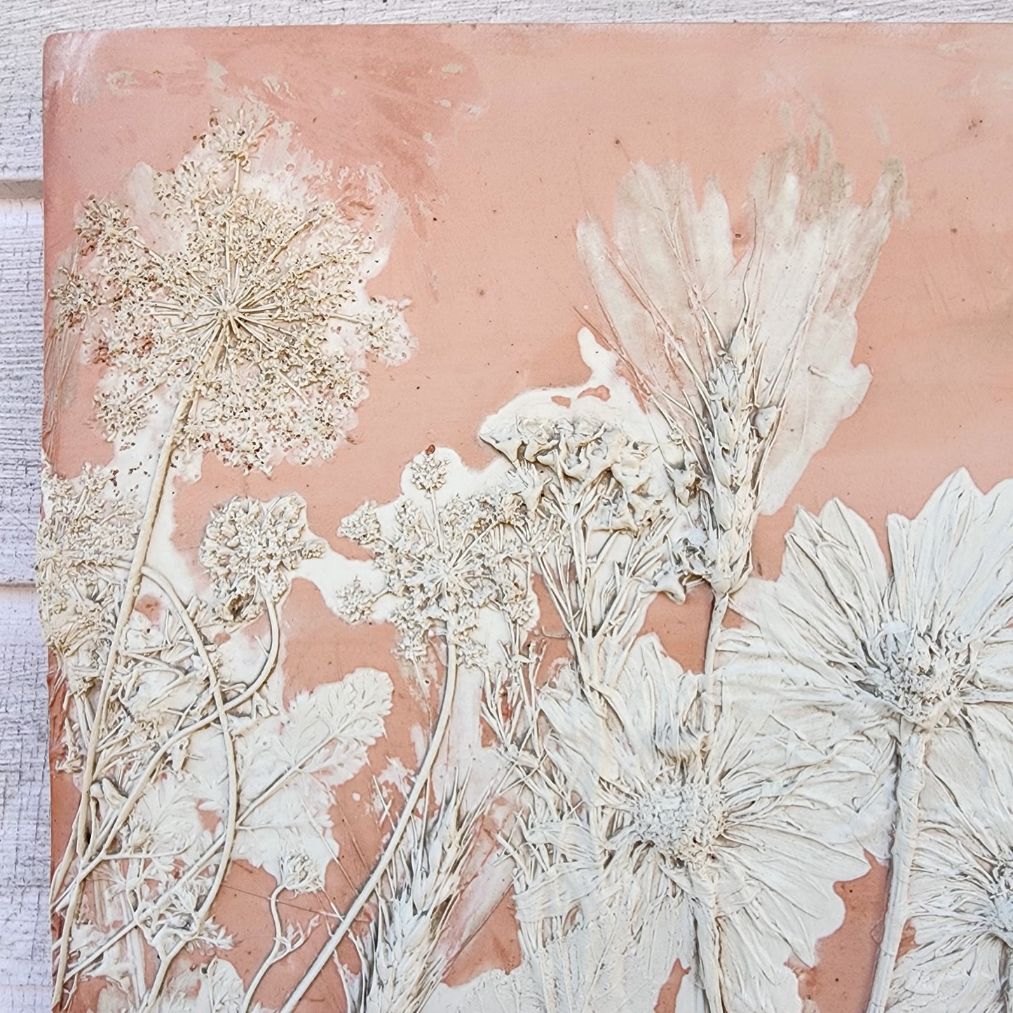 Plaster Botanical Bas Relief Artwork - Oat Dark