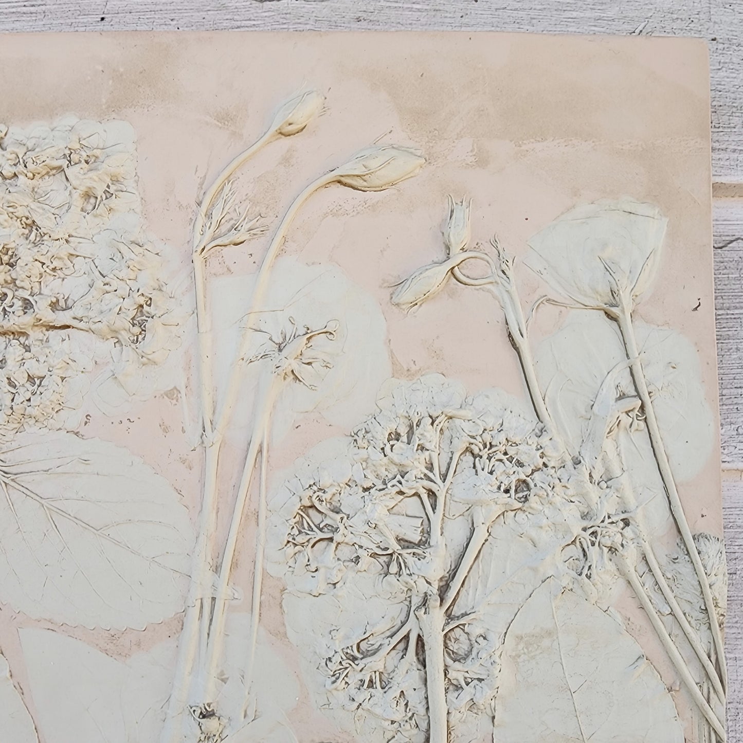 Plaster Botanical Bas Relief Artwork - Hydrangea Light