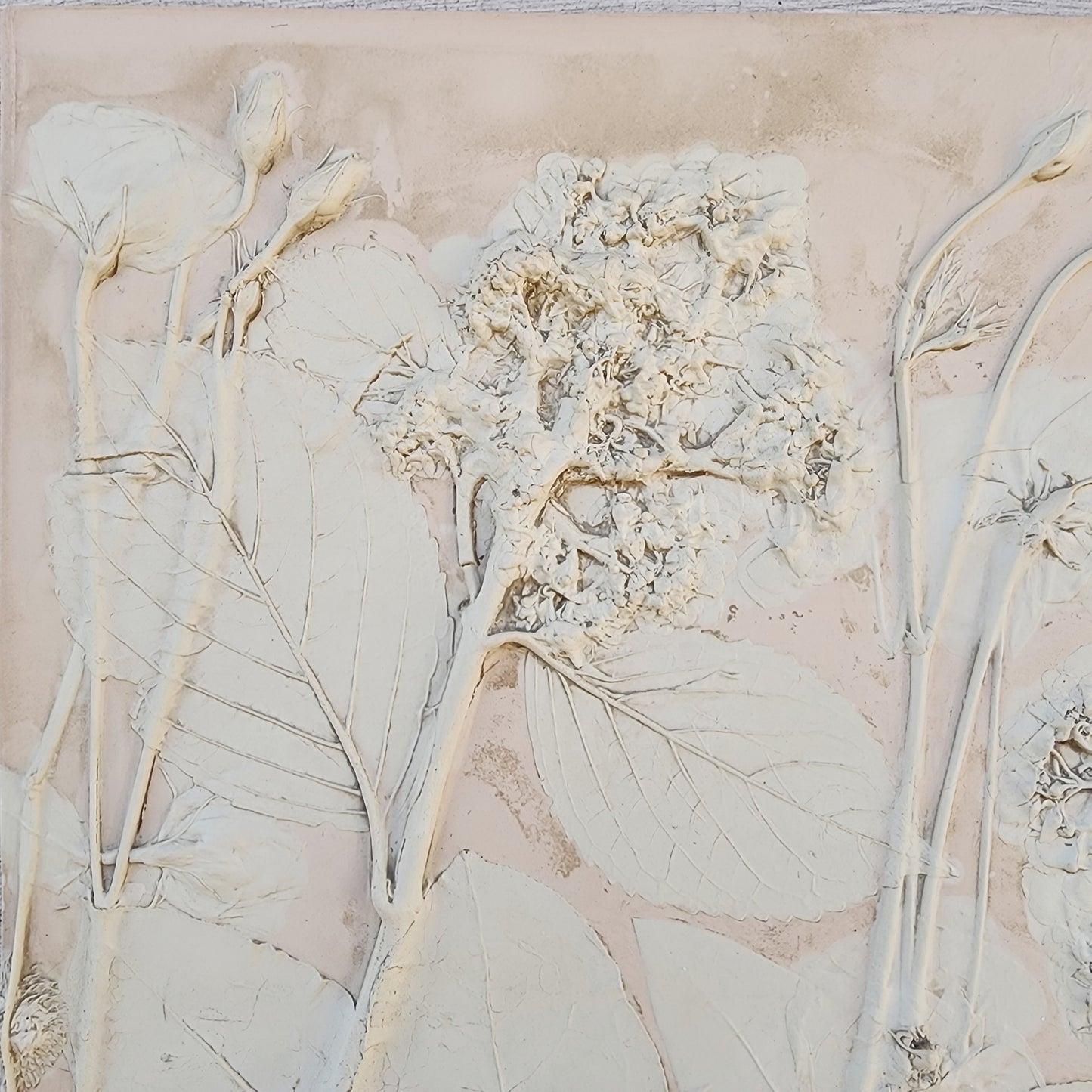 Plaster Botanical Bas Relief Artwork - Hydrangea Light