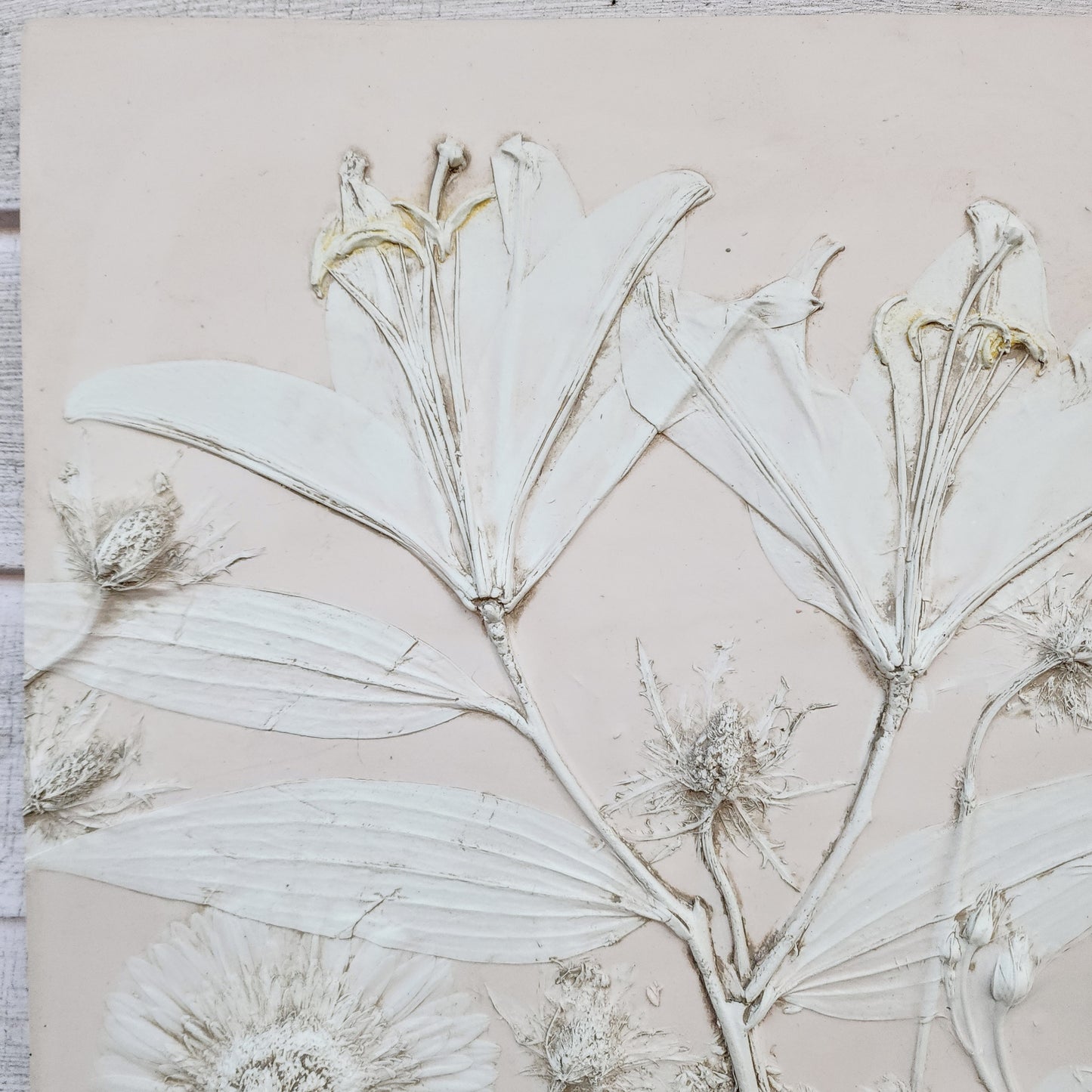 Plaster Botanical Bas Relief Artwork - Lily Light