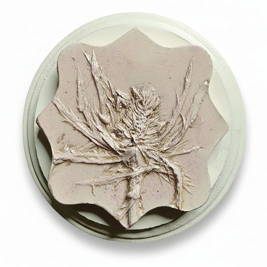 Plaster Botanical Bas Relief Artwork